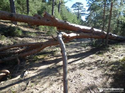 Calzada Romana - Fuenfría-Cercedilla; viajes en fin de año ruta por patones plano de la pedriza ag